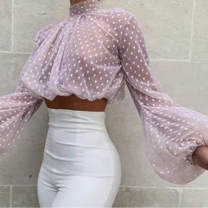 Spring Autumn Fashion Long Lantern Sleeve Turtleneck Polka Dotted See Through Transparent Office Lady Elegant Chiffon Blouse